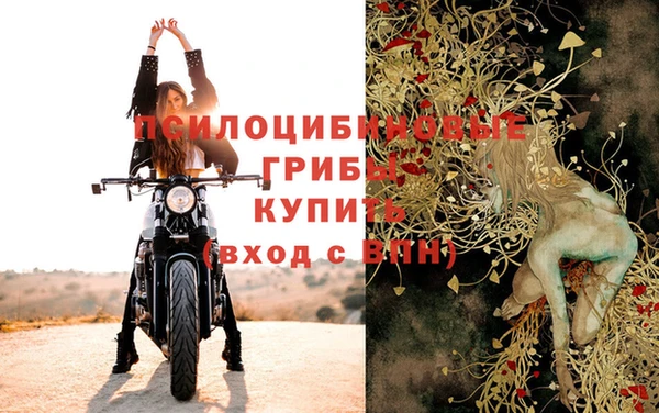 кокс Аша