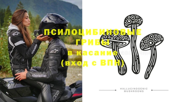 кокс Аша