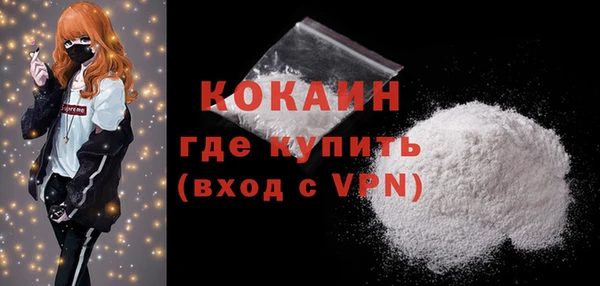 мдпв Бежецк