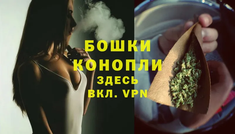 мориарти наркотические препараты  Бодайбо  Шишки марихуана White Widow  купить закладку 