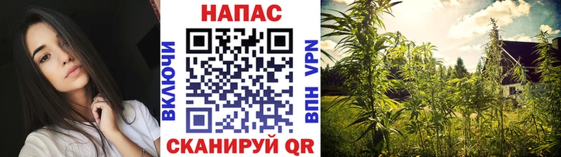 сайты даркнета состав цены Бодайбо МАРИХУАНА Ganja